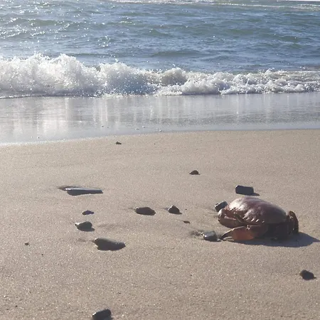 Appartamento 6 Person In