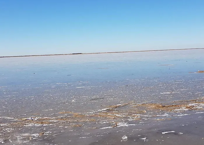 6 Person In Apartment